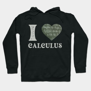 Funny women calculus teacher i love calculus Hoodie